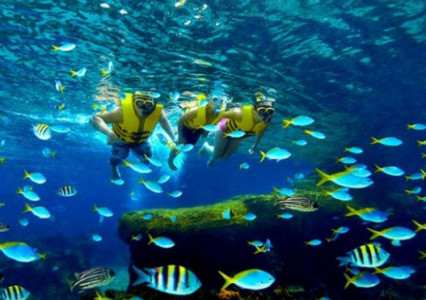 Thủy văn học - Ngành học dành cho các kỹ sư nghiên cứu và giải quyết các vấn đề về NƯỚC – Nguồn tài nguyên cần thiết cho mọi sự sống trên trái đất