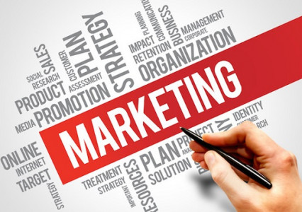 Chương trình đào tạo ngành Marketing năm 2021