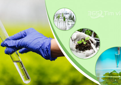 Chương trình đào tạo ngành Công nghệ kỹ thuật môi trường năm 2021